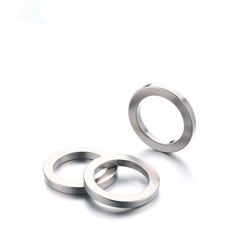 High Quality Strong Magnet Permanent NdFeB Ring Magnet